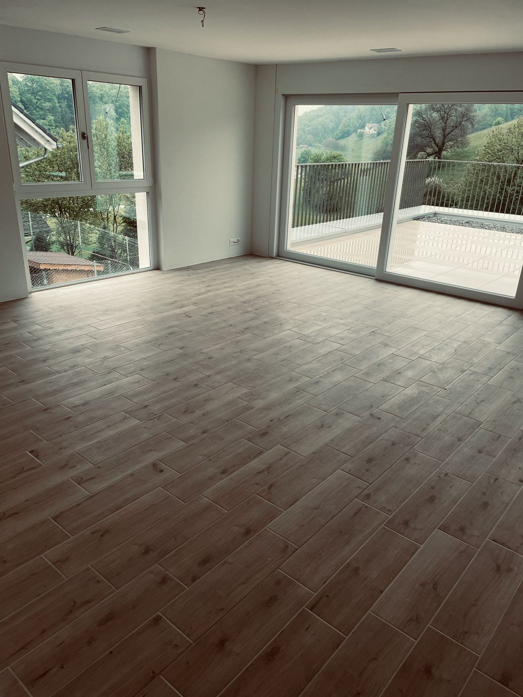 Wohnraum mit Holzoptik-Boden und grossen Fenstern